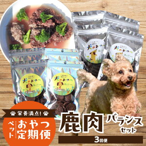 yӂ邳Ɣ[Łzyցzh{_Iybg  oXZbg yS3z pW[L[ X[v NbL[  Ysgp ς J[ AQ