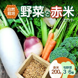 【ふるさと納税】＜京都産＞野菜と赤米のセット 旬の野菜 3～6種類 玄米
