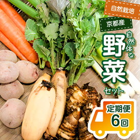 【ふるさと納税】＜京都産野菜定期便6回＞自然体な野菜セット