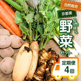 【ふるさと納税】＜京都産野菜定期便4回＞自然体な野菜セット