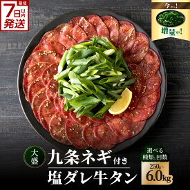 【ふるさと納税】 スピード発送！！塩ダレ牛タン 大盛九条ネギ 選べる種類・内容量 （250g・500g・750g） 選べる定期便 （500g×3回・6回・12回） 牛タン 京都九条ネギ 小分け 冷凍 真空パック 薄切りスライス BBQ 京都 牛たん 牛タン塩