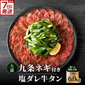 【ふるさと納税】 スピード発送！！塩ダレ牛タン 大盛九条ネギ 選べる種類・内容量 （250g・500g・750g） 選べる定期便 （500g×3回・6回・12回） 牛タン 京都九条ネギ 小分け 冷凍 真空パック 薄切りスライス BBQ 京都 牛たん 牛タン塩