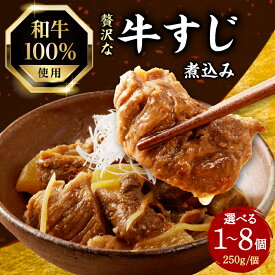 【ふるさと納税】お試し1個のみ スピード発送！！ 和牛100％の贅沢なすじ煮込み 250g 選べる個数（1〜8個） 《レビューキャンペーン》牛すじ 国産 すじ すじ煮込 おつまみ 大根 牛すじ煮込み すじ煮込み 和牛 牛肉 惣菜