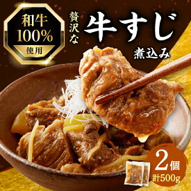 【ふるさと納税】【父の日ギフト】 ≪6月21日届け≫ 和牛100％の贅沢なすじ煮込み 250g×2個 牛すじ 国産 すじ すじ煮込 おつまみ 大根 牛すじ煮込み すじ煮込み 和牛 牛肉 惣菜