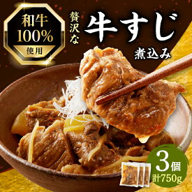【ふるさと納税】【父の日ギフト】 ≪6月21日お届け≫ 和牛100％の贅沢なすじ煮込み 250g×3個 牛すじ 国産 すじ すじ煮込 おつまみ 大根 牛すじ煮込み すじ煮込み 和牛 牛肉 惣菜