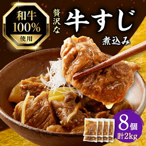 yӂ邳Ɣ[Łz 1̂ Xs[hII a100ґȂύ 250g Iׂi1`8j  Y  ύ ܂ 卪 ύ ύ a  y