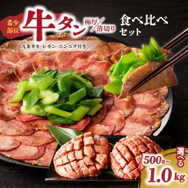 【ふるさと納税】 薄切りタンと極厚タンの食べ比べセット 選べる内容量（500g・750g・1kg） 牛タン セット 上田式焼肉 肉屋 京都九条ネギ 厚切り牛タン タン 小分け 冷凍 真空パック 焼肉 肉 薄切りスライス BBQ 京都 牛タンスライス 牛タン塩
