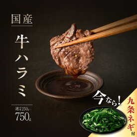 【ふるさと納税】 今だけ数量限定！九条ネギ付き！国産牛ハラミ 「京都人気焼肉店」貴重！肉汁溢れる 選べる内容量 （250g・500g・750g） 国産ハラミ 貴重 自家製ダレ プロの味 ｜ 焼肉 牛ハラミ 楽天ふるさと納税 肉 牛肉 BBQ バーベキュー グルメ ホルモン