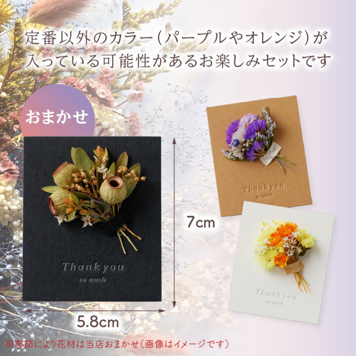 楽天市場】【ふるさと納税】《レビューキャンペーン》気持ちが伝わる 