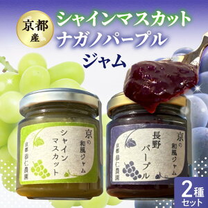 yӂ邳Ɣ[ŁzsYVC}XJbgEiKmp[v W2Zbg VC}XJbg iKmp[v uhE Ԃǂ W ʓ m_