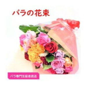 yӂ邳Ɣ[Łzyo吶YҒzỏԑ(FƂǂ26`28{)yzsnFEꌧzy1607421z