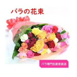 yӂ邳Ɣ[Łzyo吶YҒzỏԑ(FƂǂ36`38{)yzsnFEꌧzy1607441z