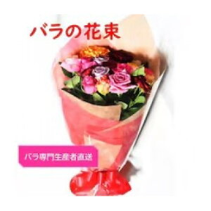 yӂ邳Ɣ[Łzyo吶YҒzỏԑ(FƂǂ18`20{)yzsnFEꌧzy1607454z