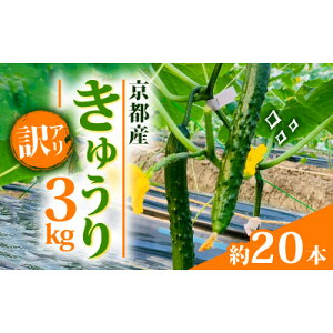 yӂ邳Ɣ[ŁzyAzイ 3kg s{ ؁y1568062z