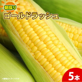 【ふるさと納税】京都府久御山町 とうもろこし(5本/10本/20本)朝採りコーン ゴールドラッシュ【配送不可地域：離島・北海道・沖縄県・東北】【G1666122】