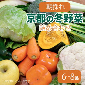 【ふるさと納税】京都 朝採れ 冬野菜セット 6～8種【配送不可地域：離島】【1669703】