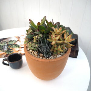 �y�ӂ邳�Ɣ[�Łz�����񂹐A���e���R�b�^(�󂯎M�t��)�y�z���s�n��F�����E���ꌧ�z�y1697449�z