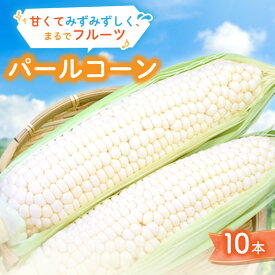 【ふるさと納税】まるでフルーツ 村田農園のパールコーン 10本【大人気の白いとうもろこし(ホワイトコーン)】_ 村田農園 パールコーン とうもろこし トウモロコシ とうきび ホワイトコーン スイートコーン 野菜 甘い 美味しい 送料無料 【配送不可地域：離島】【1075298】