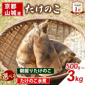 【ふるさと納税】 【京都山城産】 ＜先行予約＞ 朝掘りたけのこ (26年4月発送) / たけのこ水煮 選べる 缶詰 筍 竹の子 白子筍 京都 山城 産 京たけのこ たけのこ 国産 京野菜 野菜 国産 炊き込みご飯 煮物 小分け まとめ買い 常温保存 井手町 送料無料 まるやま食品