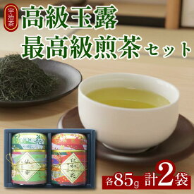 【ふるさと納税】 高級 宇治玉露 ・ 最高級 宇治煎茶 各85g缶入り 詰め合わせ セット 茶葉 旨み 香り 日本茶インストラクター厳選 お茶 日本茶 国産 飲料 高級 最高級 京都府【014】