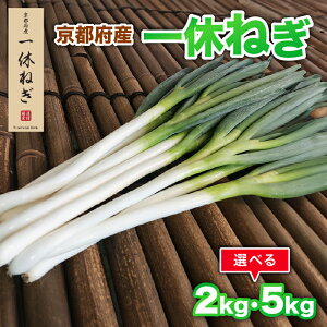 yӂ邳Ɣ[Łz s{Y x˂ Iׂ 2kg 5kg ˂ lM K K ˂  ₳  Yn  VN  ƒp Ɩp Y { 蒬 s