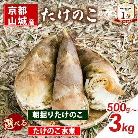【ふるさと納税】 【京都山城産】 ＜先行予約＞ 朝掘りたけのこ (26年4月発送) / たけのこ水煮 選べる 缶詰 筍 竹の子 白子筍 京都 山城 産 京たけのこ たけのこ 国産 京野菜 野菜 国産 炊き込みご飯 煮物 小分け まとめ買い 常温保存 井手町 送料無料 まるやま食品