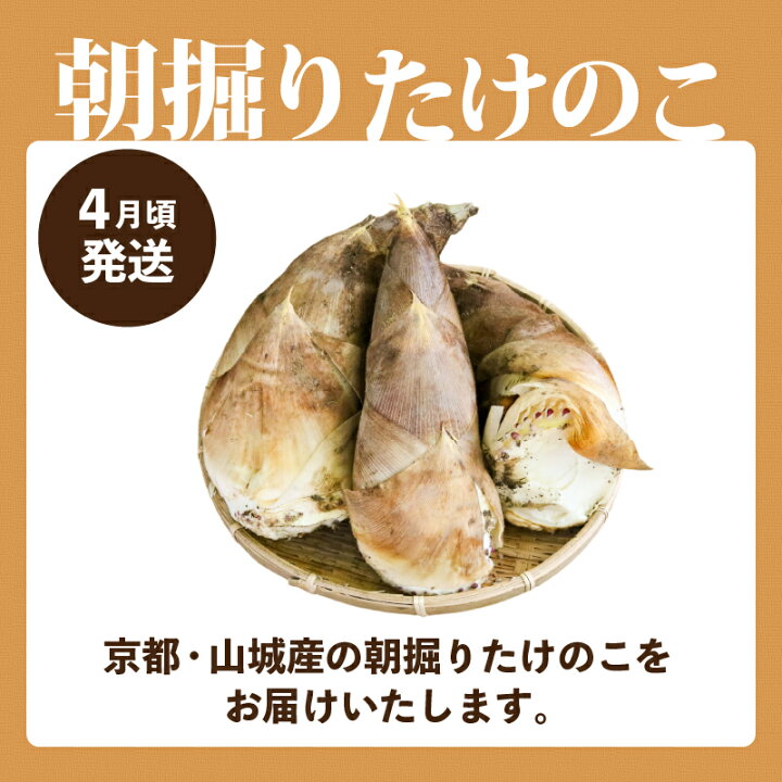 楽天市場】【ふるさと納税】 【京都山城産】 ＜先行予約＞ 朝掘り 
