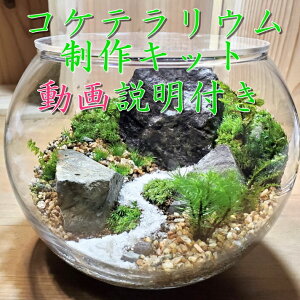 yӂ邳Ɣ[ŁzRPeELbga15cm tqRP   A S CeA  Zbg Lbh G pir