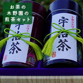 【ふるさと納税】贈り物に最適！農林水産大臣賞をいくつも受賞しているお茶の木野園の煎茶セット【宇治茶】 京都