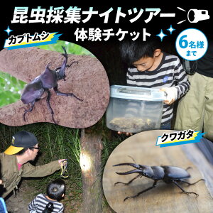 【ふるさと納税】NHKテレビで取り上げられました!先行予約【体験期間 2026年6月〜8月中旬】虫捕り名人と行く「昆虫採集ツアー」ご利用券(5名様・車1台まで)他グループと同行有 昆虫 カブト