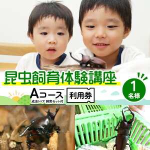 yӂ邳Ɣ[Łzyc`wΏہžuAR[Xi1yAƎZbgťF7`9̊ejjpi1lj ̌`Pbg  q LbY @