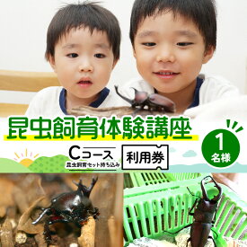 【ふるさと納税】【幼児～小学生対象】昆虫飼育体験講座Cコース（昆虫・飼育セット各自お持ち込み＜体験：2027年1月～3月の各日曜日＞）ご利用券（1名様） 体験チケット 生き物　お届け：2026年11月下旬～2027年1月中旬まで