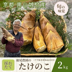 yӂ邳Ɣ[Łzys\ s {̖ozA_Ƃ̒x肽̂ 2kg@sR鑺Y   ^PmR  VN { Gߌ@͂F2026N4`2026N5