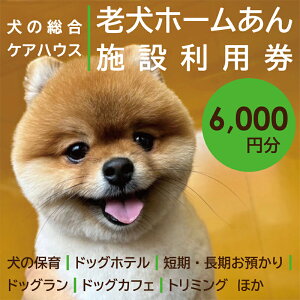 【ふるさと納税】老犬ホーム あん施設利用券(6,000円分) 犬専用総合ケアハウス 愛犬愛護活動