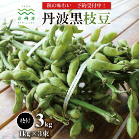 【ふるさと納税】《 先行予約 》 丹波黒枝豆 枝付き 3kg （ 京都 京丹波町産 丹波黒大豆 ）≪ 秋だけの期間限定 ≫ 【季節限定 おつまみ 枝豆 えだまめ 黒豆 ご当地グルメ 特産品】 ※北海道・沖縄は配送不可