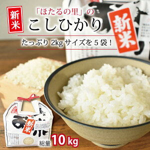 yӂ邳Ɣ[Łz Ogق̗̂Ђ 2kg×5܁i10kgj   V s RVqJ  A  
