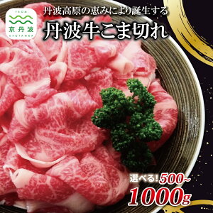 yӂ邳Ɣ[Łz Og ܐ؂ 500g 1000g Iׂ  y Y ؂藎Ƃ ֗ R} א؂ Ԑ؂ z kCEȆ͔zs