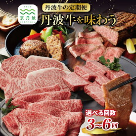 【ふるさと納税】【定期便】 丹波牛を味わう定期便 3回 4回 5回 6回 選べる 回数 選べる定期便 ( 定期便 和牛 黒毛和牛 京都 丹波 丹波牛 牛肉 すき焼き 焼肉 ステーキ ローストビーフ 霜ふり 赤身 赤身肉 )