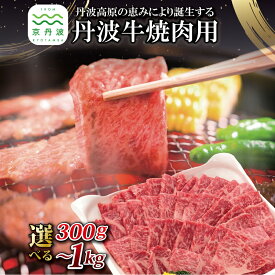 【ふるさと納税】 丹波牛 焼肉用 選べる 数量 300g 500g 1kg 黒毛和牛 和牛 国産 焼肉 京都 丹波 京丹波 牛肉 モモ肉 バラ肉 赤身 やきにく BBQ たれ付き 焼肉のタレ いづつ屋