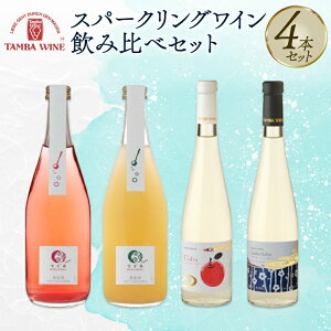 【ふるさと納税】 丹波ワイン スパークリングワイン 飲み比べ 4本セット 【 国産 スパークリング ワイン 地ワイン 京都 丹波 無添加 てぐみ 白 ロゼ バラエティ 詰め合わせ 】