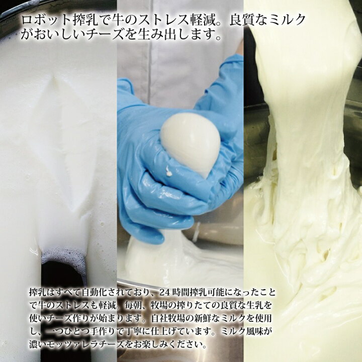 道の駅で大人気のチーズ さけるチーズ ロングタイプ 3本セット 道の駅で大人気のチーズ さけるチーズ ロングタイプ 3本セット