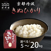 楽天市場】キヌヒカリ 20kgの通販