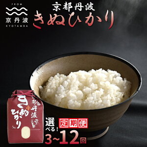 yӂ邳Ɣ[Łzyցz OgʂЂ 5kg 10kg 3J 6J 12J Iׂ ߘa7NY  s LkqJ kCEkEȆ͔zs