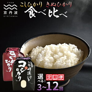 yӂ邳Ɣ[Łzyցz OgЂ ʂЂ Hה׃Zbg 10kg ߘa7NY 3J 6J 12J  Iׂ  s RVqJ LkqJ kCEkEE