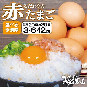 yӂ邳Ɣ[ŁzyցzԂ܂ Iׂ  e 20 30 3 6 12    ܂ Z ʎq Zbg ʎqĂ Ic  ŗ {  Y s{ 