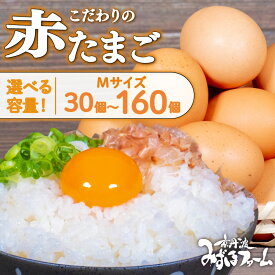 【ふるさと納税】赤たまご 30個 / 80個 / 160個 選べる容量 こだわり 卵 たまご 濃い 玉子 セット 玉子焼き オムレツ 卵かけご飯 ゆで卵 鶏卵 卵黄 国産 京都府 京丹波町 みずほ ※北海道・沖縄・その他離島は配送不可