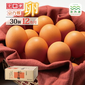 【ふるさと納税】【12カ月定期便】 京の雅（卵） 定期便 12カ月連続 【 卵 定期便 たまご 新鮮卵 たまごセット たまご定期便 】 ※北海道・東北・沖縄・その他離島は配送不可