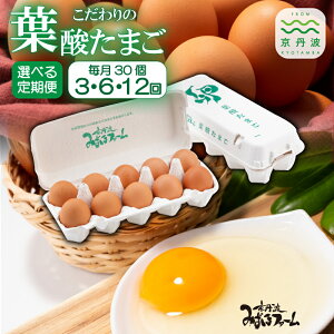 yӂ邳Ɣ[Łzyցz t_܂ Iׂ  3 6 12 y   ܂ VN ܂Zbg ܂ z kCEkEȆ͔zs