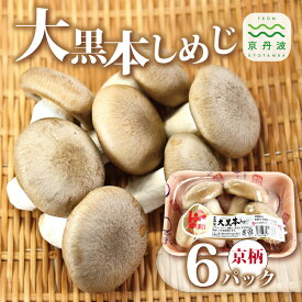 【ふるさと納税】大黒本しめじ京柄 6パックセット （ 国産 京都 きのこ キノコ 丹波 しめじ 食感 シャキシャキ 天ぷら 鍋 炒め物 ） 新生活応援 ※北海道・沖縄・その他離島への配送不可