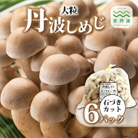 【ふるさと納税】大粒丹波しめじ 石づきカット 6袋セット （ 国産 京都 きのこ キノコ 丹波 しめじ はたけしめじ 大粒 カット 食感 シャキシャキ 天ぷら 鍋 炒め物 ） 新生活応援 ※北海道・沖縄・その他離島への配送不可
